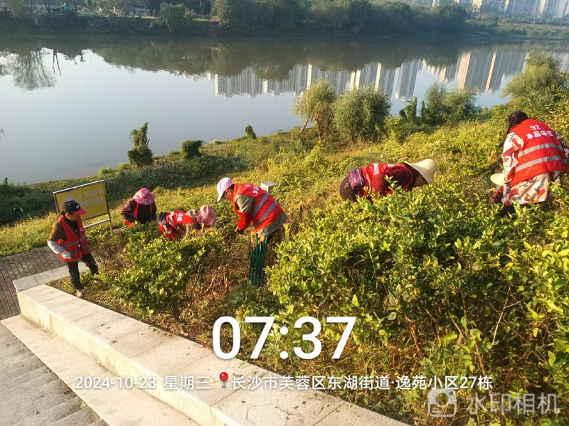 瀏陽(yáng)河?xùn)|岸風(fēng)光帶日常維護(hù)服務(wù)項(xiàng)目(三標(biāo)段:紅旗路橋北車(chē)馬楚公園界)