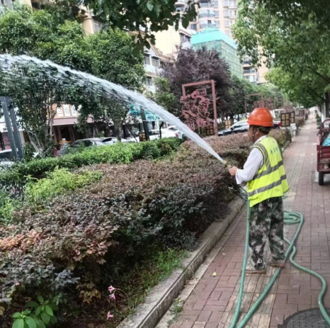 桔子洲街道市政園林維護(hù)工程項(xiàng)目