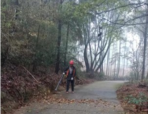 金山橋街道環(huán)衛(wèi)清掃保潔維護(hù)服務(wù)項(xiàng)目